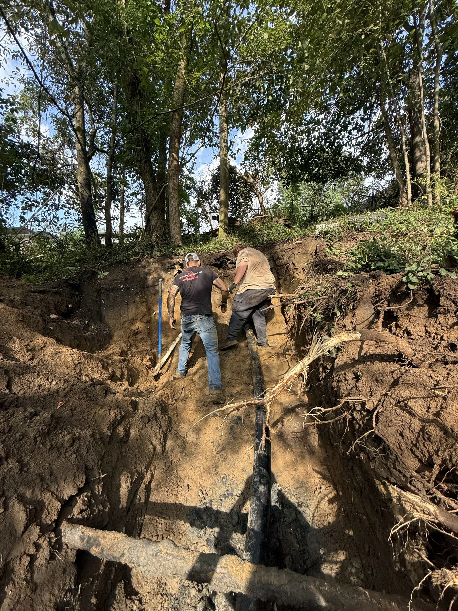 Two workers excavating soil around black drainage pipe on wooded hillside with exposed tree roots